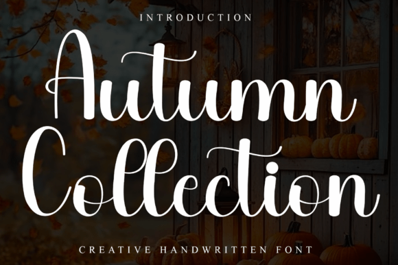 Autumn Collection: A Warm and Playful Script Font for Branding